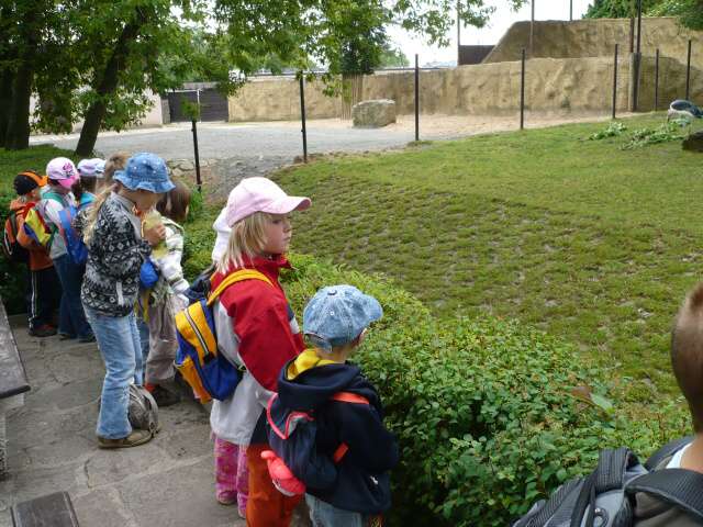 ZOO - školka