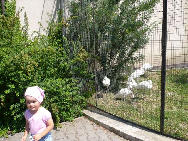 ZOO - školka