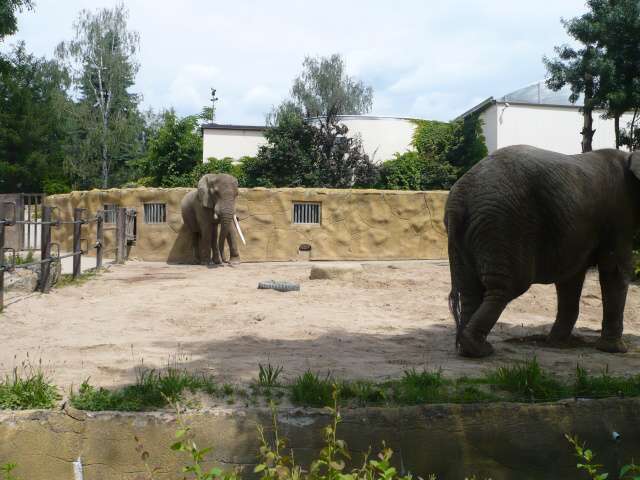ZOO - školka