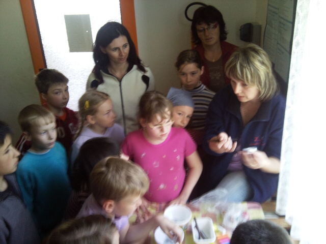 Ve čtvrtek 6. a v pátek 7. května se u nás ve škole konal třetí ročník regionální vlastivědné soutěže Vlastík 2010. 