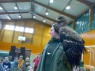 přehlídka dravců v rovenské tělocvičně - 11