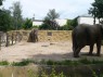 ZOO - školka - 9