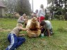 Malujeme krokodýla - 6