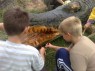 Malujeme krokodýla - 9