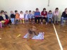 výcvik psů - 12