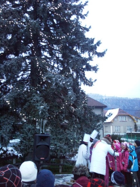 V neděli 28. listopadu 2010 se konaly pravidelné vánoční trhy...