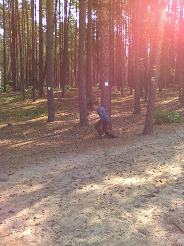 Branžež 2011