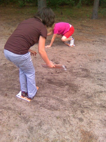 Branžež 2011