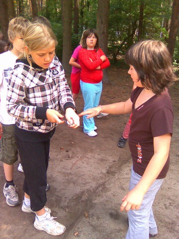 Branžež 2011