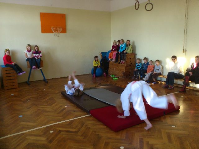 judo