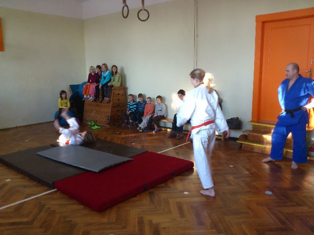 judo