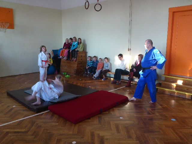 judo