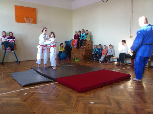judo