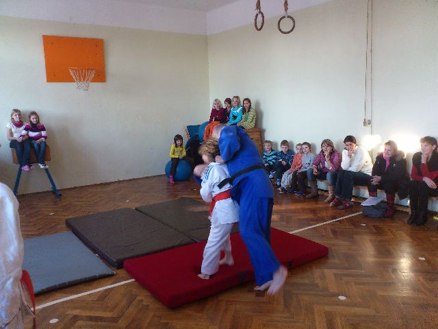 judo