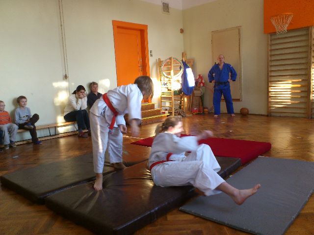 judo