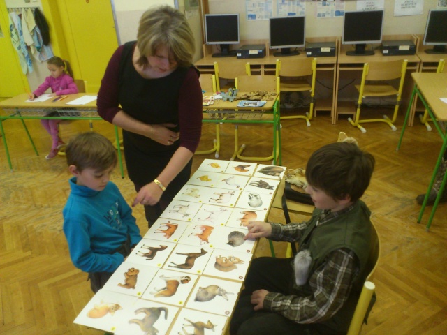 Zápis 2013