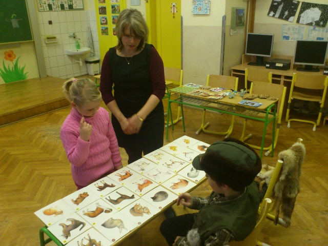 Zápis 2013