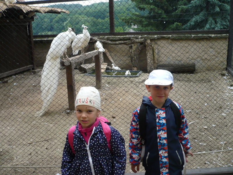 Staré Hrady