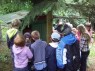 Fascinující svět včel - 5