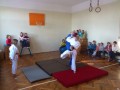 judo