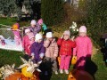 dýně 2013_01