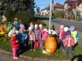 dýně 2013_04